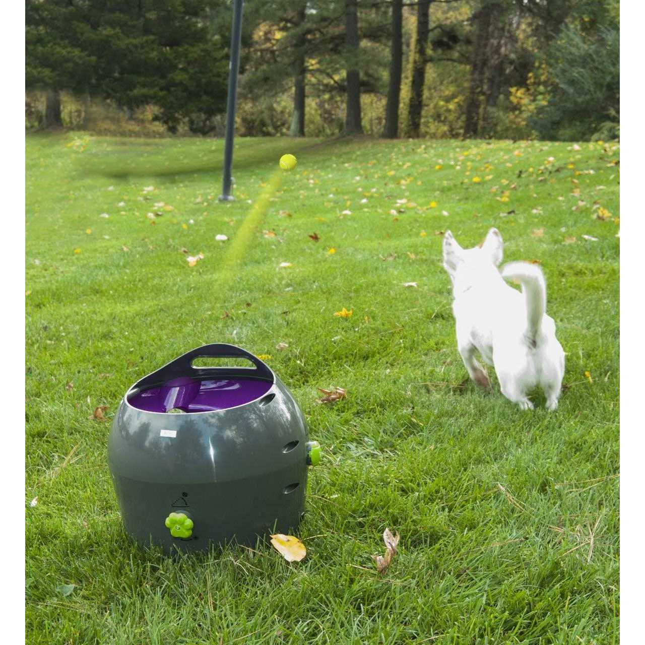 PetSafe Automatic Ball Launcher Dog Toy - Pet Supplies online store