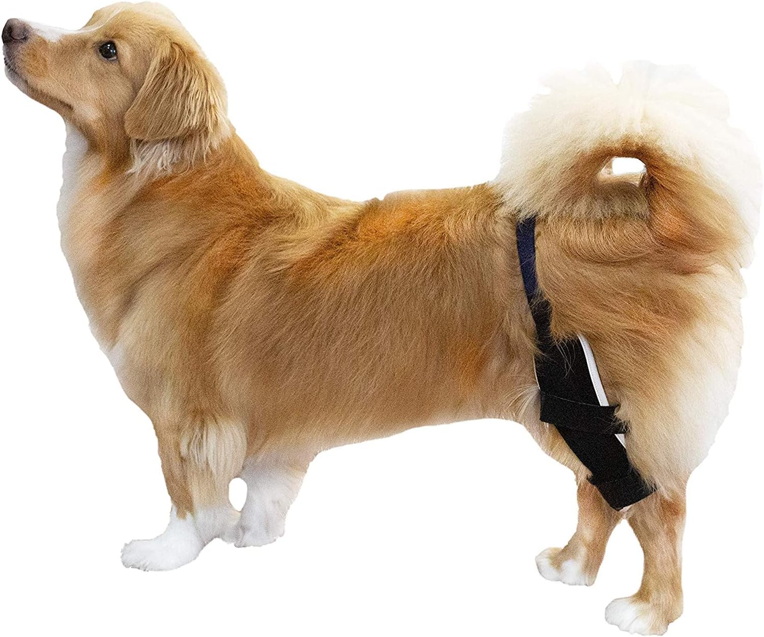 Poveo hinged Dog Knee Brace with Patella Tracker - Neoprene Canine Stifle Support for Dogs with Flexible Support, Torn ACL, Patella Luxation, osteoarthritis, limping from Joint Pain, Hip dysplasia