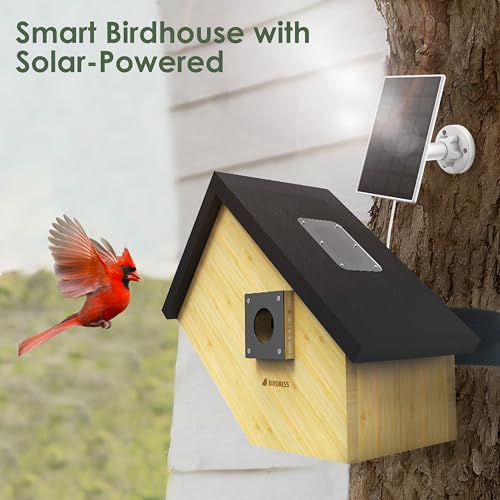 Smart Bird Houses for Outside Solar Powered, 1080P HD Live View Birdhouse with Camera, Perfect Viewing Bird Nesting and Hatching, Ideal Outdoors Bird House for Blue Bird and Cardinal (Black)