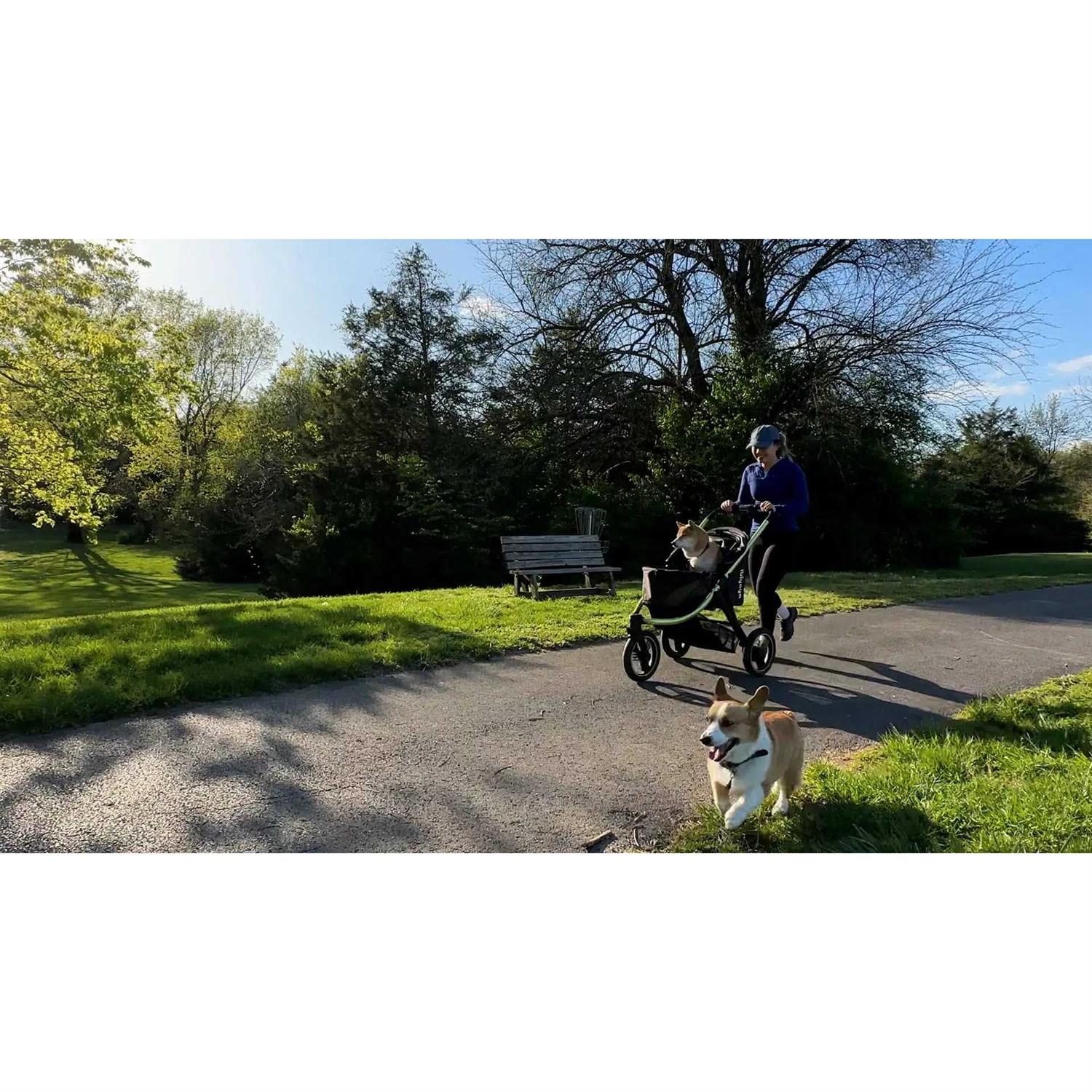 The Beast All Terrain Pet Jogging Stroller Ibiyaya - Pet Supplies online store