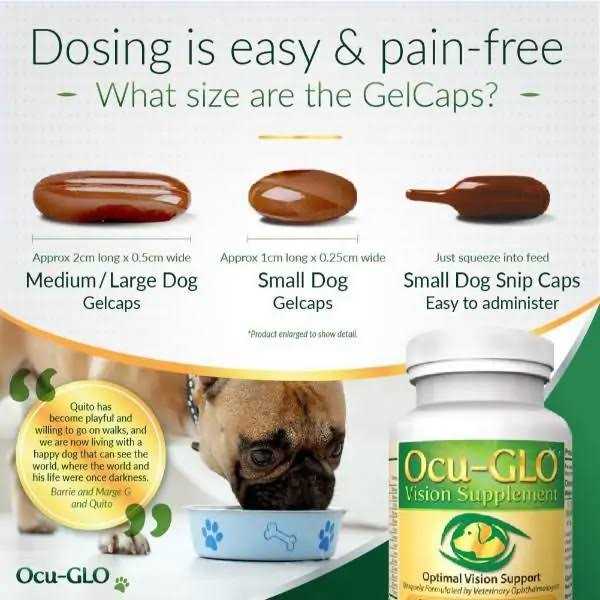 Ocu-gLO for Medium to Large Dogs - Pet Supplies online store