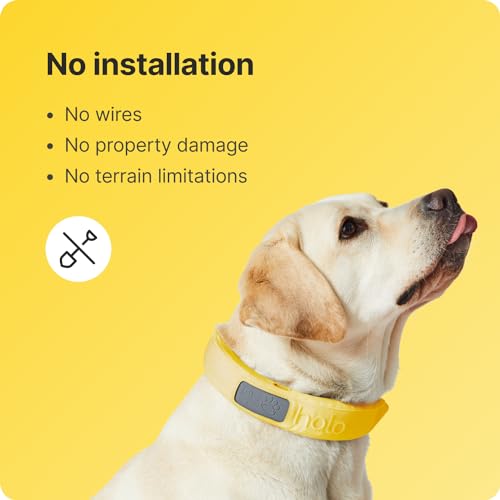 Halo Collar 3 - GPS Dog Fence - Multifunction Wireless Dog Fence & Training Collar with Real-Time Tracking & GPS - Waterproof, Create Up to 20 Wireless Fences