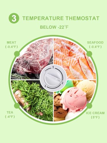 ZT upright freezer