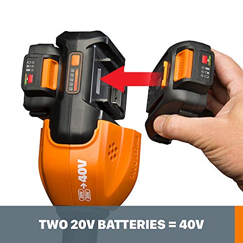 Worx String Trimmer Cordless, Edger 40V Power Share Weed Trimmer 13" (2 Batteries & Charger Included) WG184