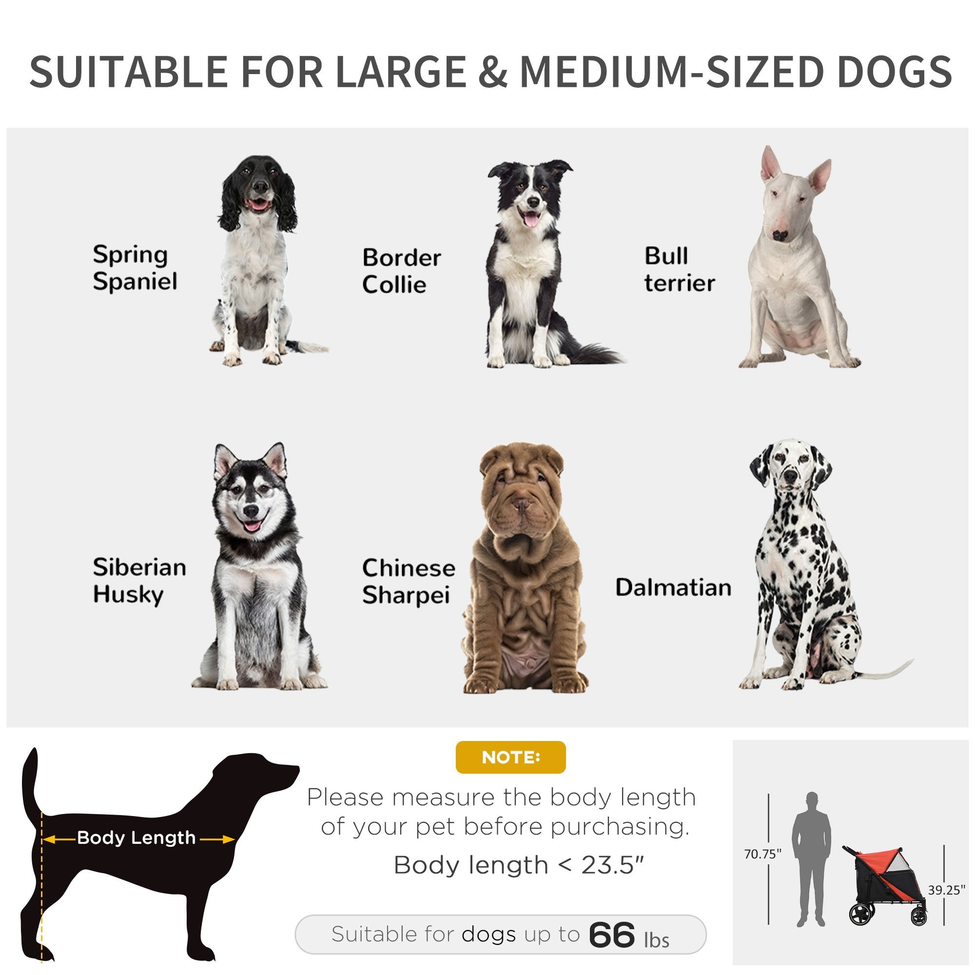 Pet Stroller - Foldable Dog Stroller with 2 Safety Lashes - Gray