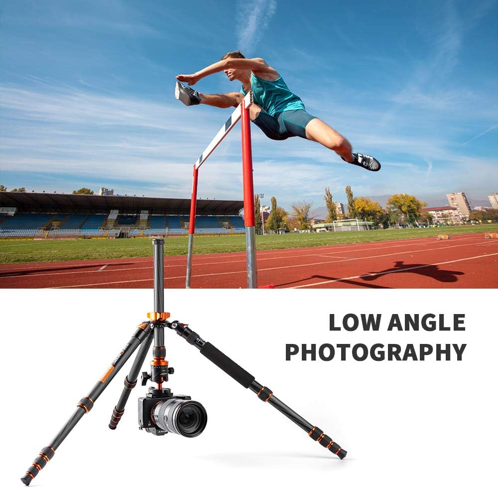 K&F Concept 68" Carbon Fiber Camera Tripod,Compact Tripods with Metal Ball Head,Quick Release Plate,Detachable Monopod 10KG Load for DSLR (SA255C1) D255C4+BH-28L 2-in-1 Quick Release Plate Kits