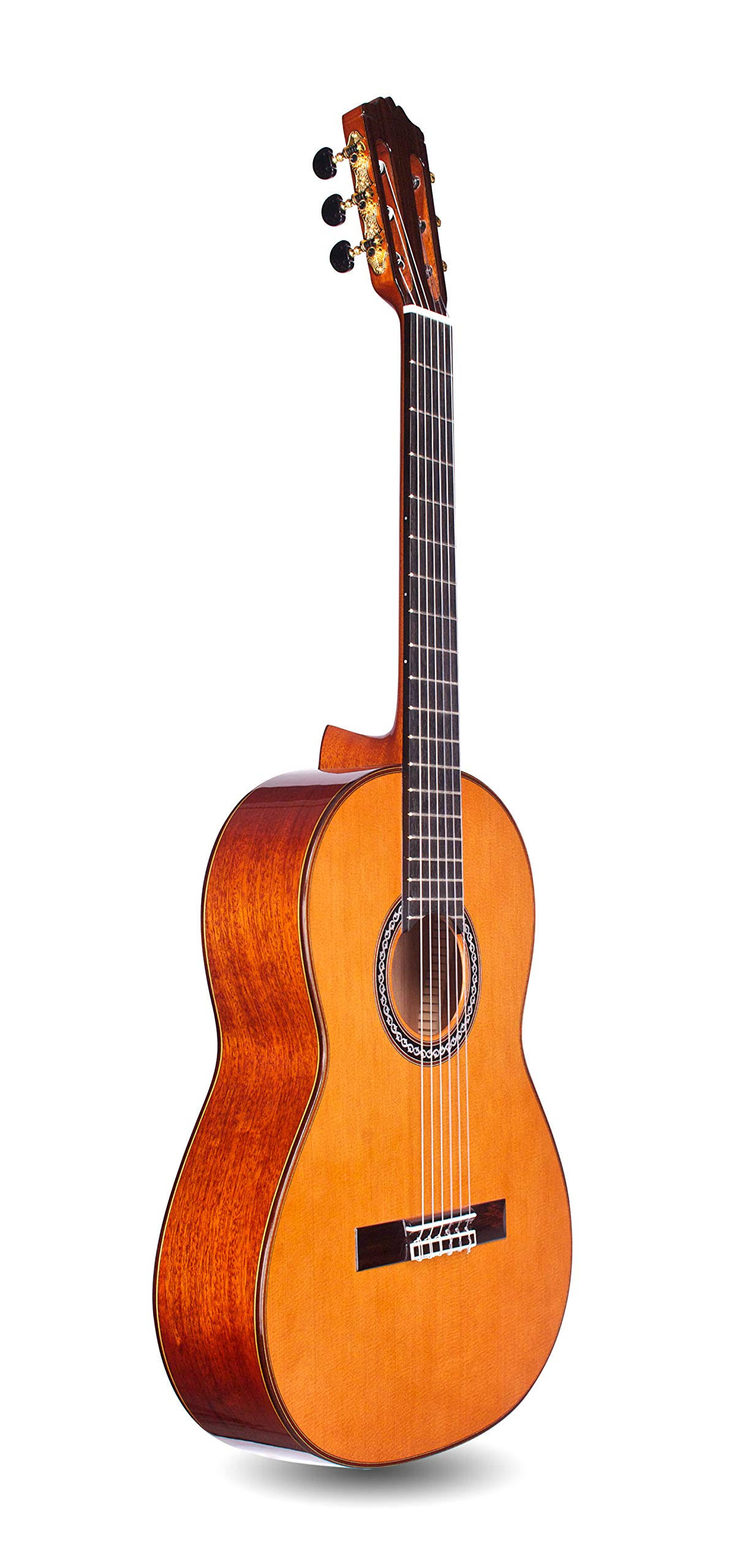 Cordoba C9 Parlor Nylon String Acoustic Guitar Natural - Megean