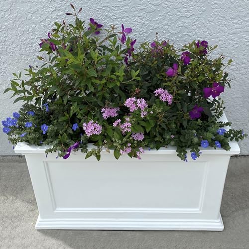 Mayne Fairfield 20in x 36in Rectangle Planter - Black - 36in L x 20in W x 20in H - with Built-In Water Reservoir (5826-B)