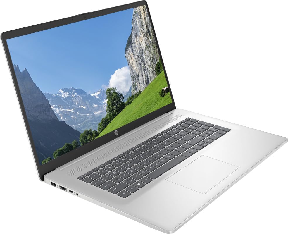 HP Newest 17 Business Laptop, 17.3'' FHD Widescreen, Intel 6-Core i3-1215U(Up to 4.4 GHz), 8GB DDR4, 1TB SSD, 8.5 Hours Battery, Windows 11 Home, 64GB SD Card + USB 3.0 Hub, Natural Silver