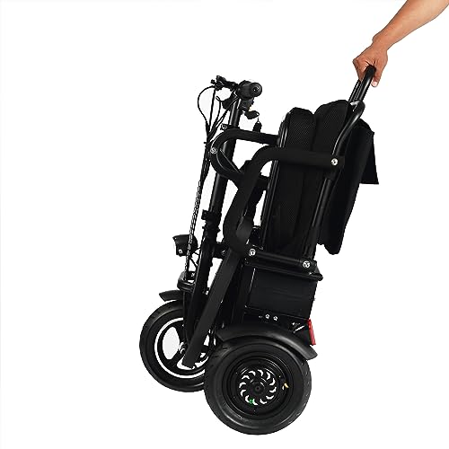 Folding Mobility Electric Scooter 48v 700w Dual Motor Lithium Battery 42 * 22 * 33(Inch) (Black)…
