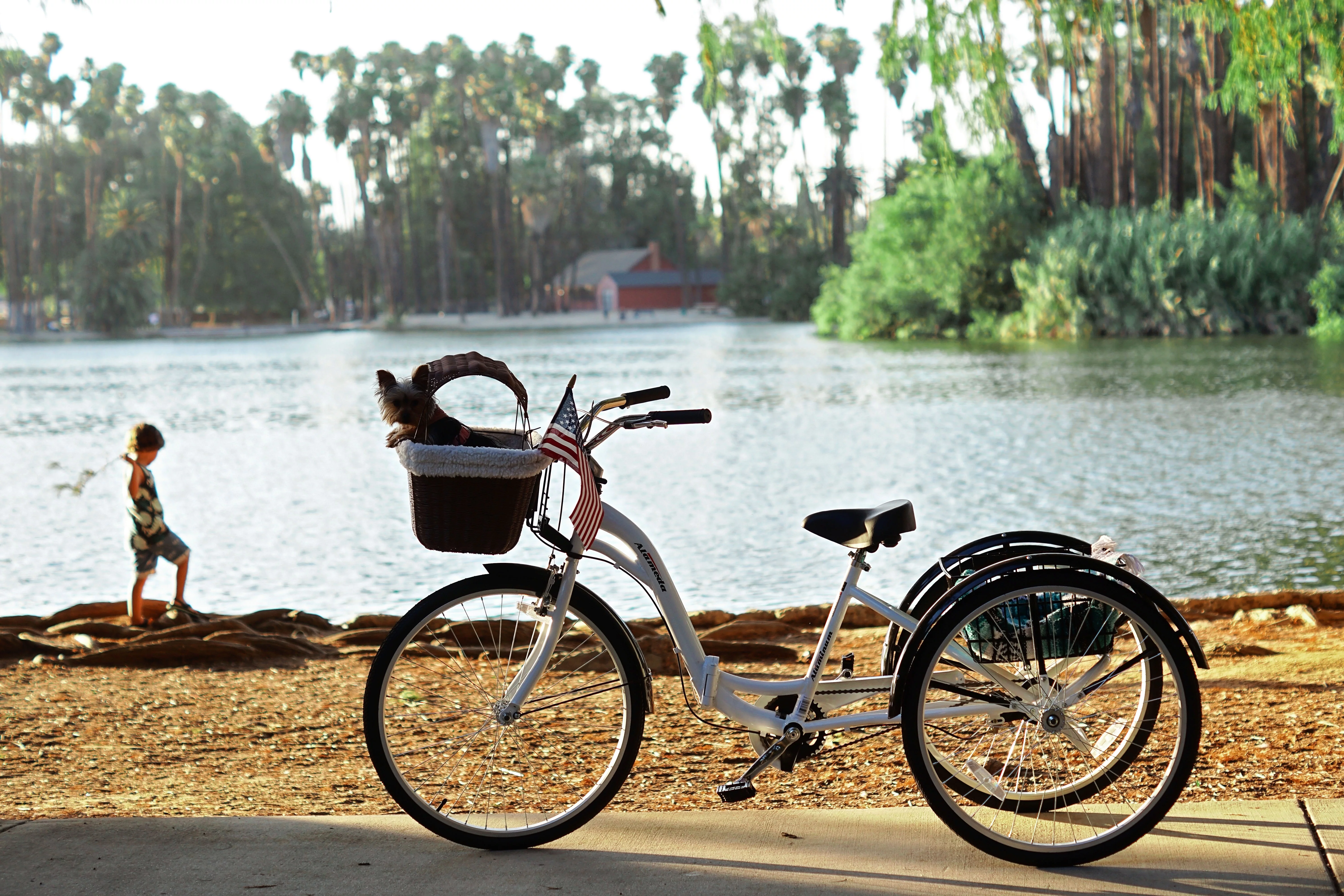 Kent 26 Alameda Folding Adult Trike, Blue