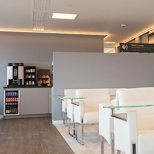Honeywell Beverage Refrigerator and Cooler, 48 Can Mini Fridge with Glass Door for Soda Beer or Wine for Office or Bar with Adjustable Removable Shelving