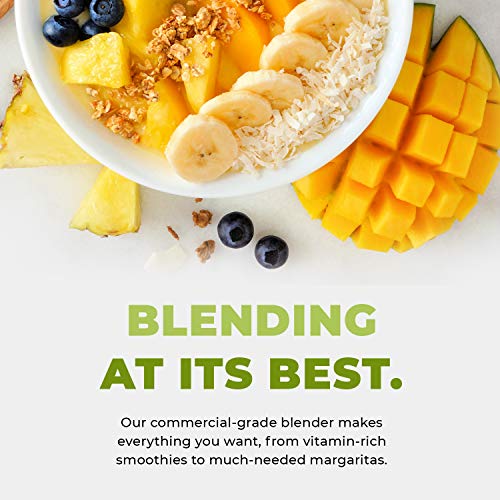 Cleanblend Commercial Blender Countertop Blender