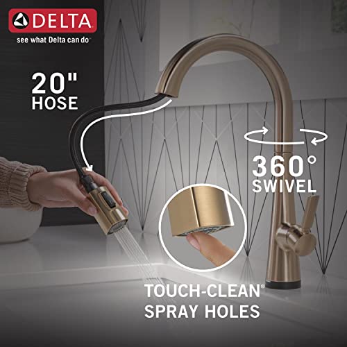 Delta Faucet Monrovia Kitchen Faucet