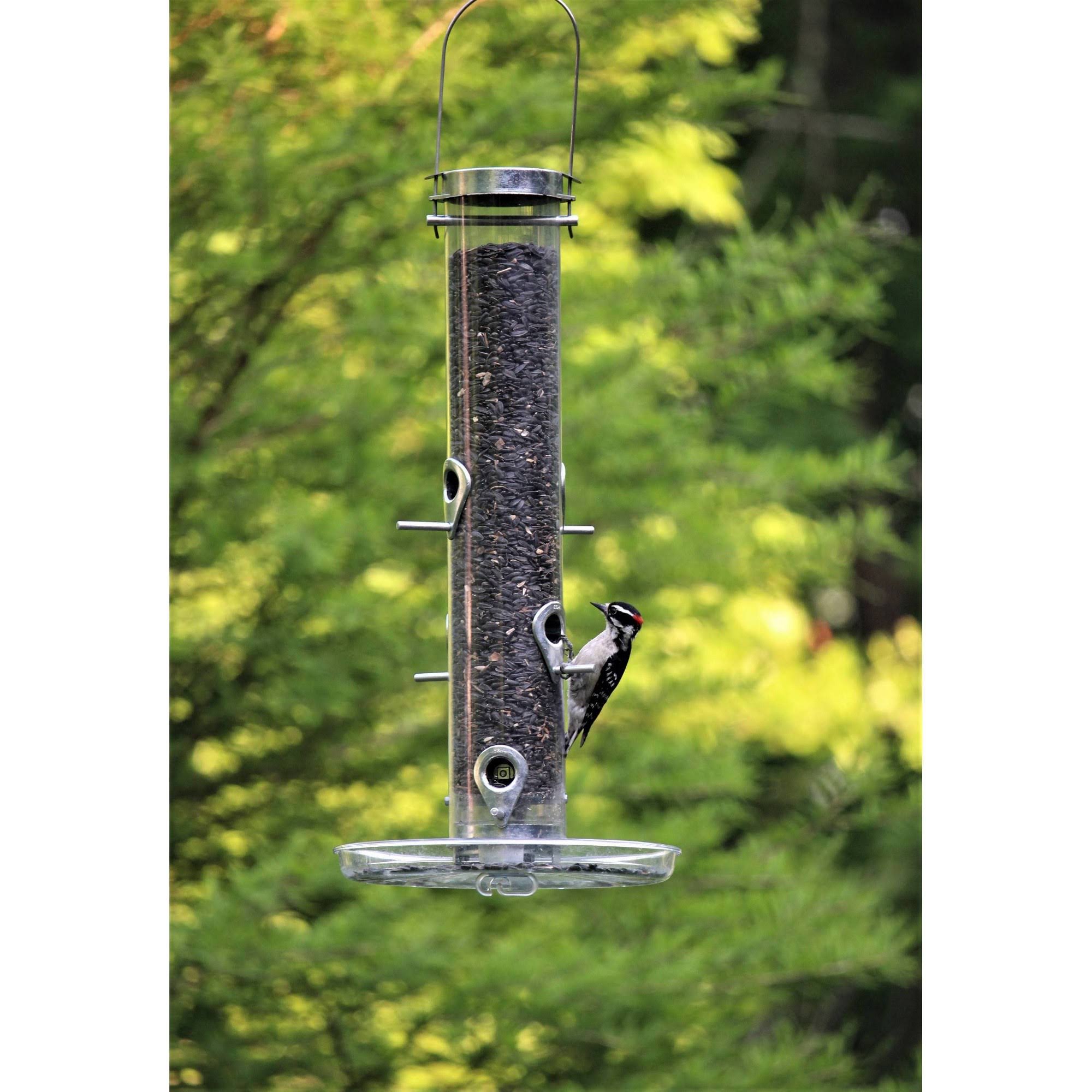 Droll Yankees Classic Sunflower or Mixed Seed Bird Feeder, 20-in