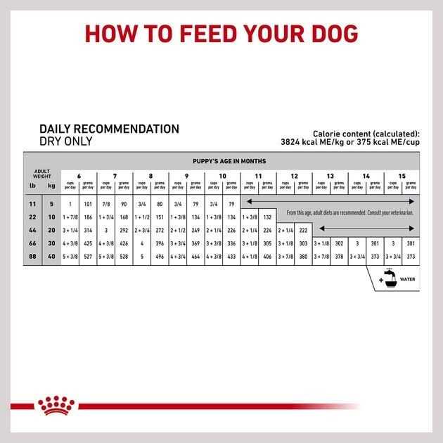 Royal Canin Hydrolyzed Protein Puppy Dry Dog Food Bag - Pet Supplies online store