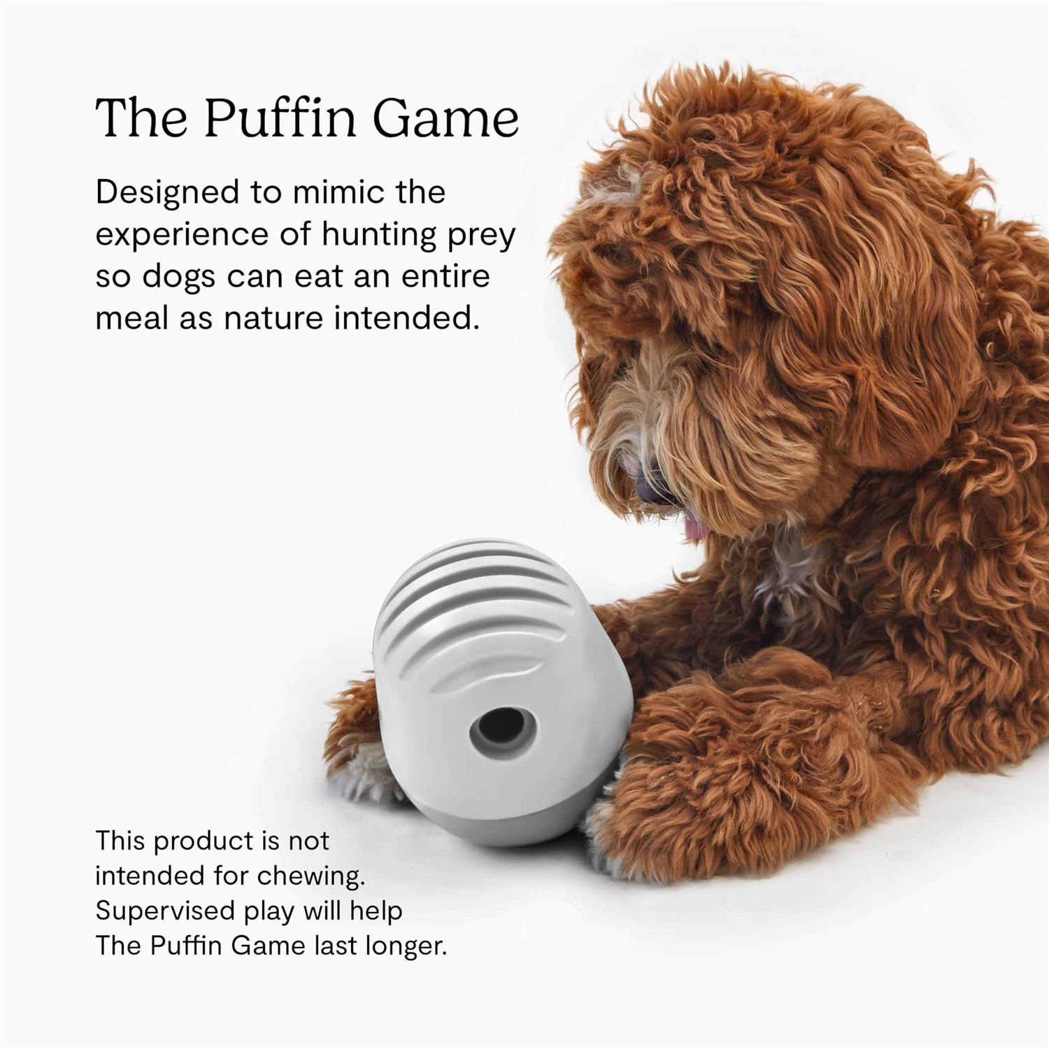 Fable Pets The Game Dog Toy - Pet Supplies online store