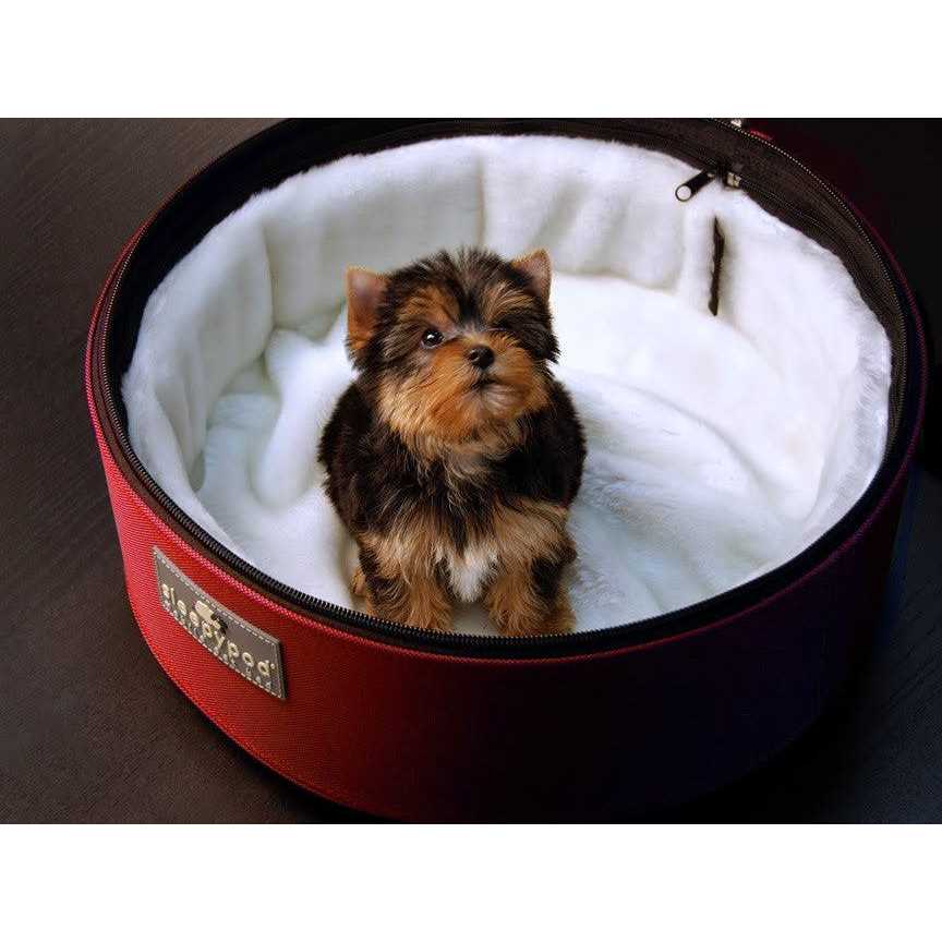 Sleepypod Mobile Pet Bed - Pet Supplies online store