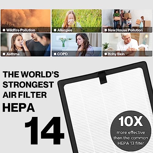 HIMOX Air Purifier Large Room for Home Allergies Pet Dander, Medical Grade H13 True HEPA Filter, Ultra Quiet Sleep Mode, Remove 99.97% Dust Mold Pollen for Bedroom Office