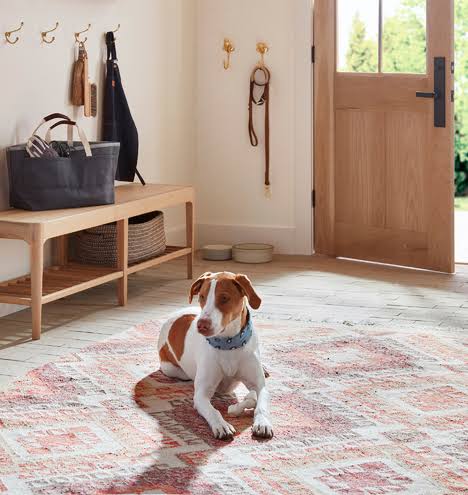 Cast Brass Dog Hook C104946