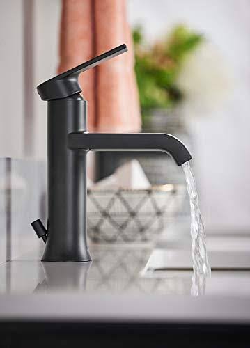 Moen 6702BL Genta LX Single Handle Bathroom Faucet with Drain, Matte Black