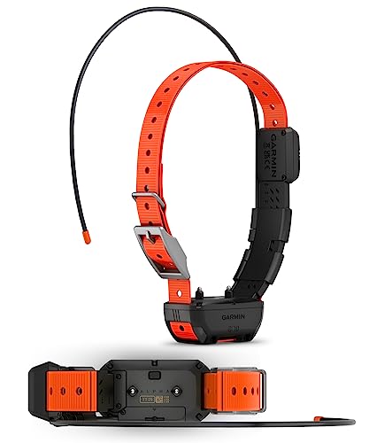 Wearable4U - Garmin Alpha 300 Handheld, Advanced Dog Tracking and Training Handheld, Touchscreen with E-Bank Bundle