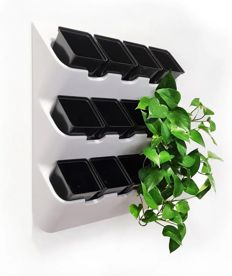 BOXSAND-12 (24"x26") Living Wall - Wall Planter, Vertical Garden for 12 Plants, Indoor/Outdoor, 2 Screws Install (White) with Black Square Pots