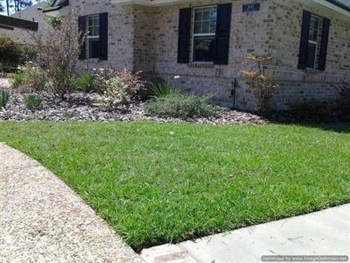 Centipede Grass Seed 100% Raw - 10 lbs.