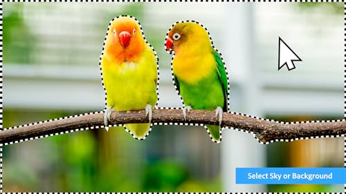 Adobe | Photoshop Elements 2024 & Premiere Elements 2024 | PC Code | Software Download | Photo Editing | Video Editing [PC Online code]