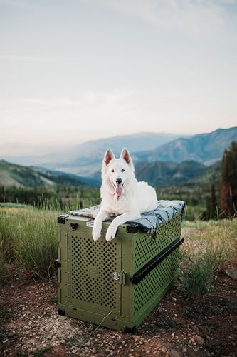 Impact Collapsible Dog Crate - High-Strength, Powder-Coated Aluminum Construction with Portable, Space-Saving Design for Home and Travel (Gray, 40" (40.5" L x 23" W x 29" H))