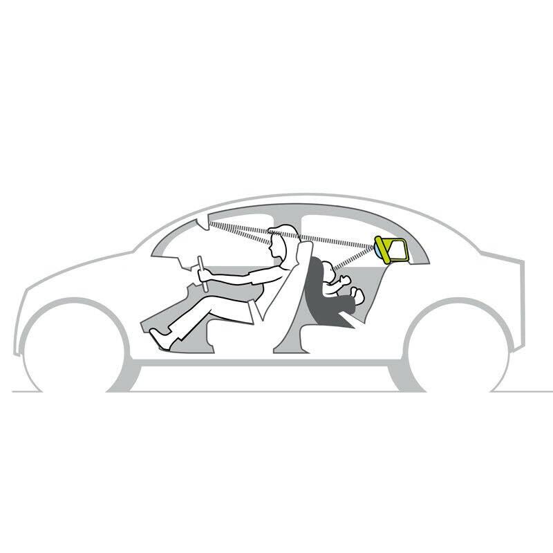 Taf Toys Koala in Car Play Center