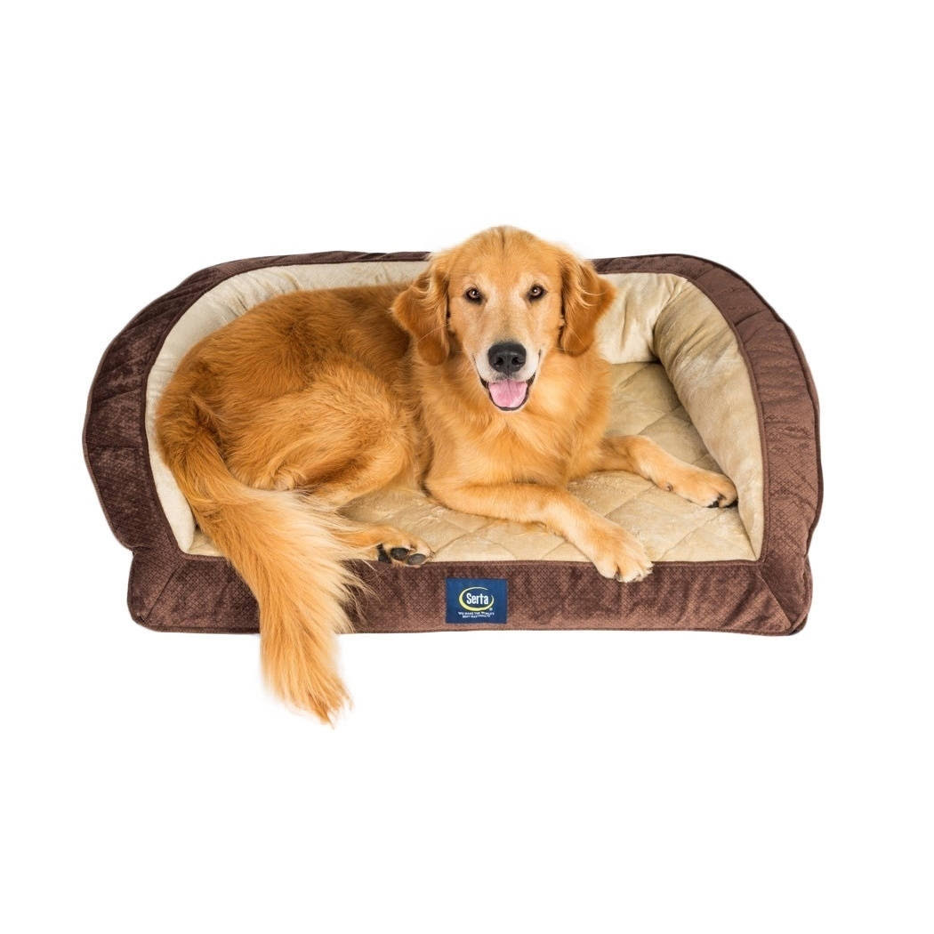 Serta Ortho Quilted Couch Pet Bed, Large, Blue