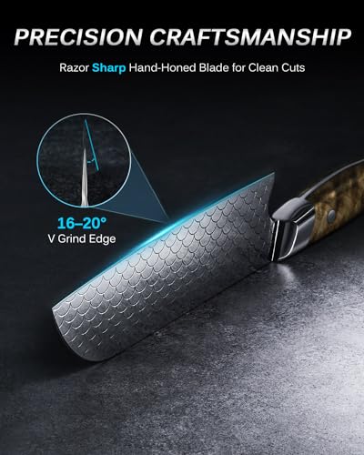 KYOKU 8" Chef Knife, Shogun Koi Series Chef's Knife with Koi Scale Pattern, Japanese VG10 Stainless Steel Kitchen Knife with Sheath & Gift Box, Full Tang Professional Knife