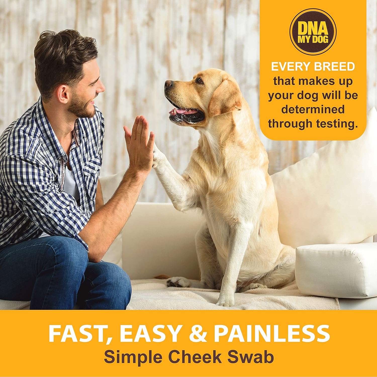 Dna My Dog Canine Breed Identification Test