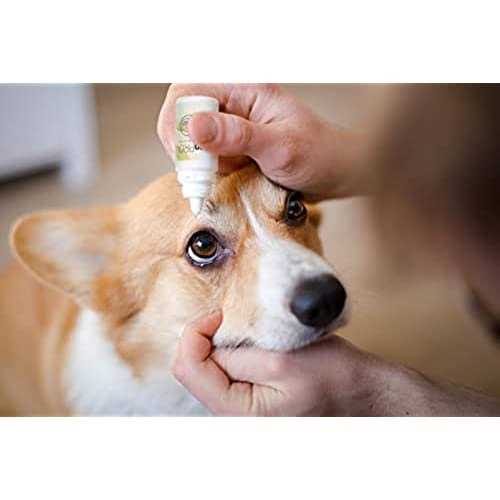 Lumenpro Pet Eye Drops Promotes Vision Clarity in Animals with Cataracts - Pet Supplies online store