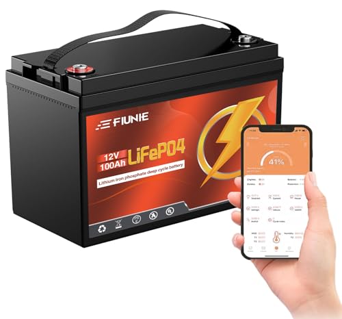 12V 100Ah lithium battery with Bluetooth for trolling motor, RV, Comping, Marine, Solar, Off-Grid, Lifepo4 Battery Deep Cycles Rechargeable Low Temp Protection, Smart BMS, 10-Year Lifespan