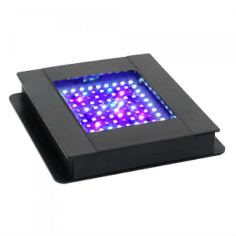 Fluval Sea Marine Bluetooth LED Nano Aquarium Light - Pet Supplies online store