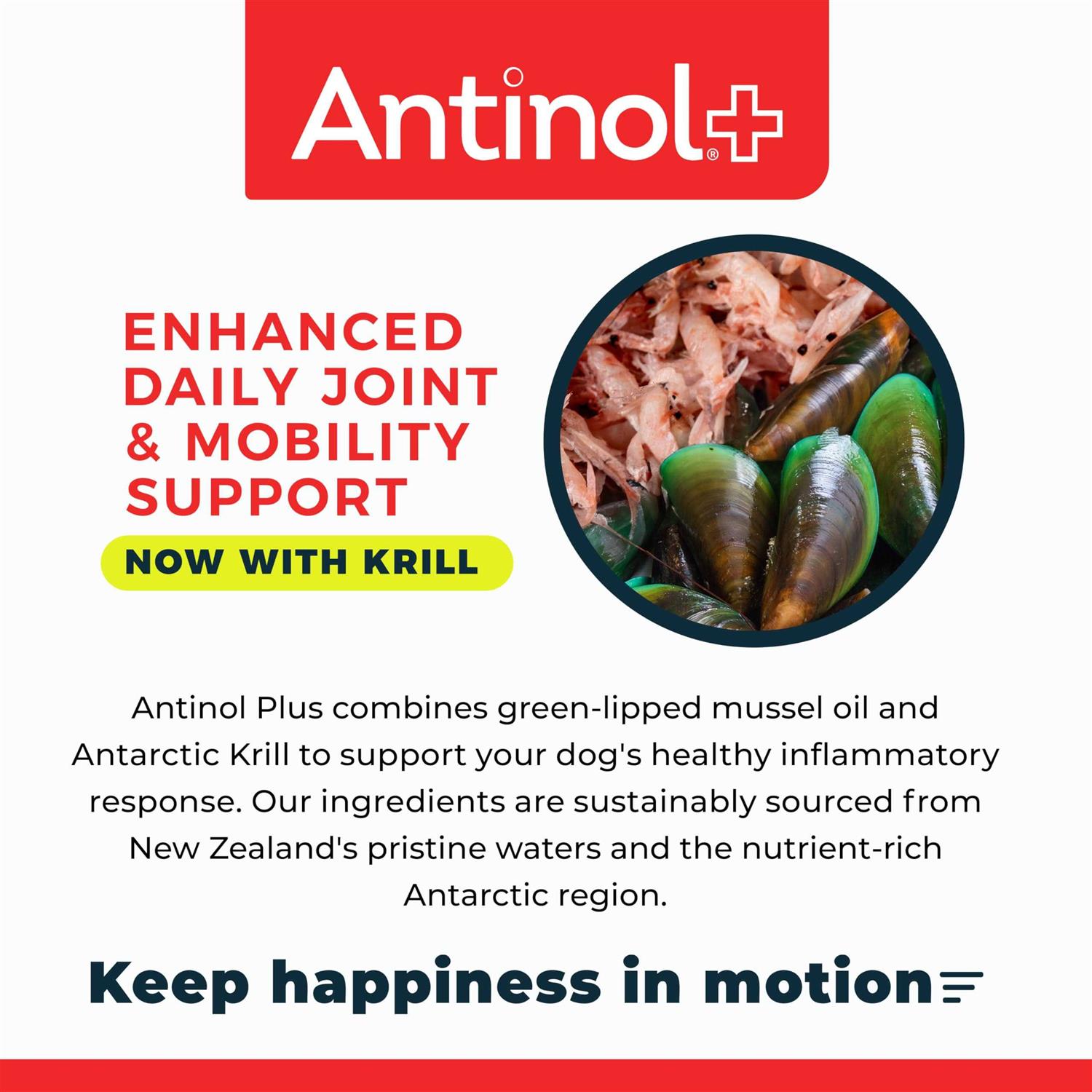 Antinol Plus 60ct - Pet Supplies online store