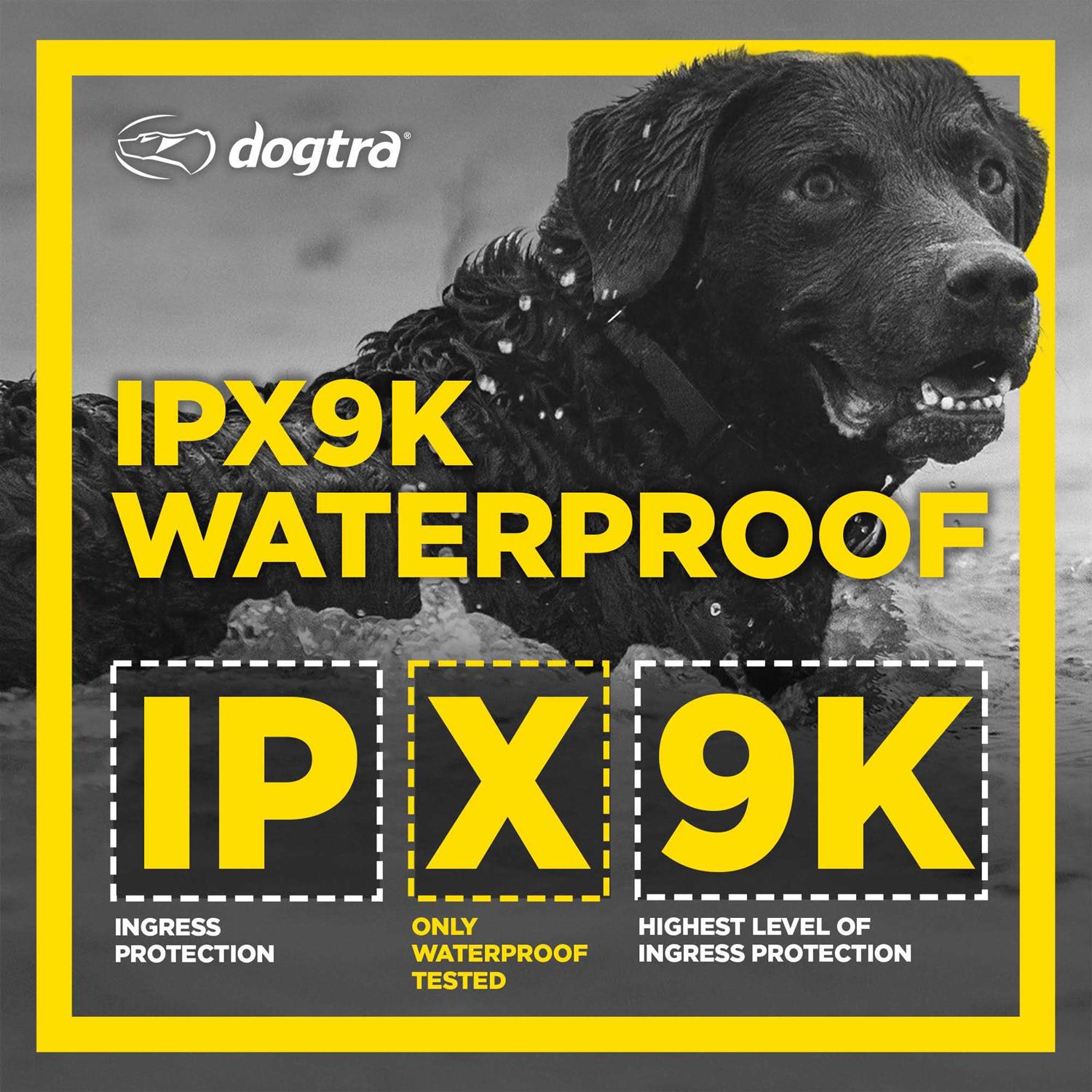 Dogtra 1900S Black Edition 1 Mile Remote Trainer - Pet Supplies online store