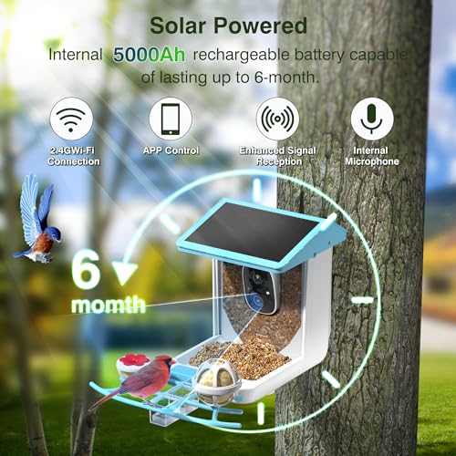 Bird Feeder with Camera, 1296P HD AI Identify Smart Bird Feeder Solar Powered, Auto Capture Bird Videos & Motion Detection, Bird Feeder Camera Wireless Outdoor Gift for Bird Lovers (Blue)