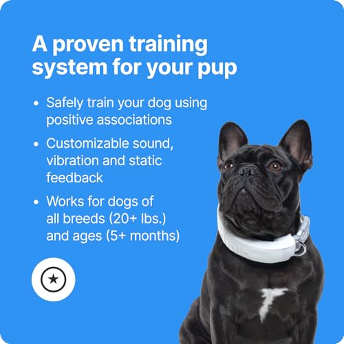 Halo Collar 3 - GPS Dog Fence - Multifunction Wireless Dog Fence & Training Collar with Real-Time Tracking & GPS - Waterproof, Create Up to 20 Wireless Fences