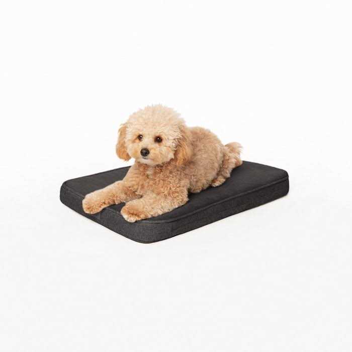 Snooz Memory Foam Crate Pad &amp; Dog Bed Diggs - Pet Supplies online store
