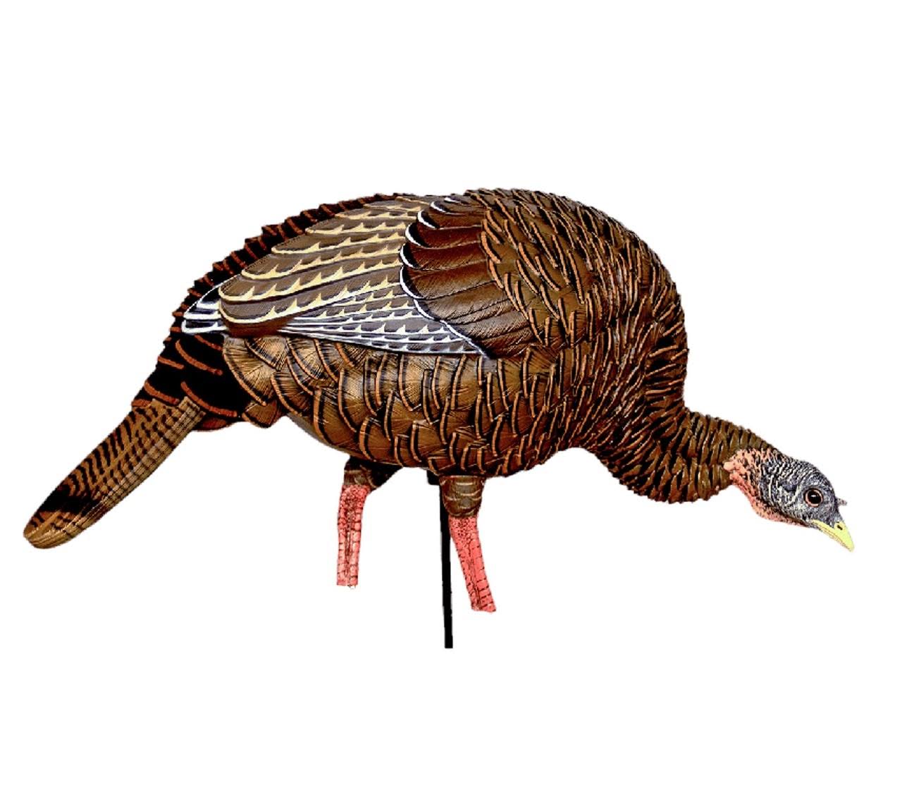 Avian x HDR Feeding Hen Turkey Decoy