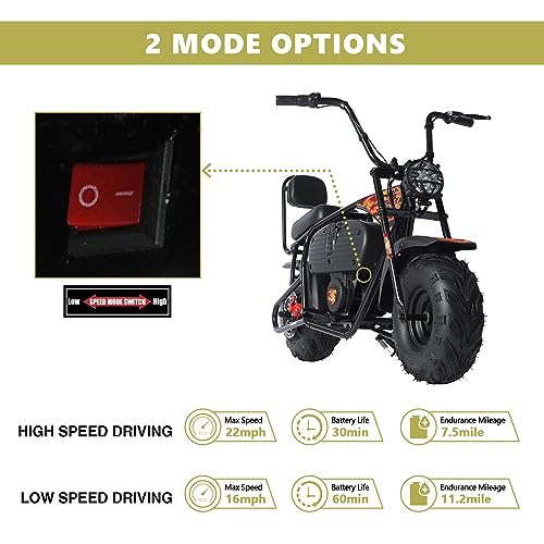 Oryxearth 36V Battery Powered Mini Electric Bike, Mini Dirt Bike for Kids, Electric Motorcycle for Kids Ages Over 13