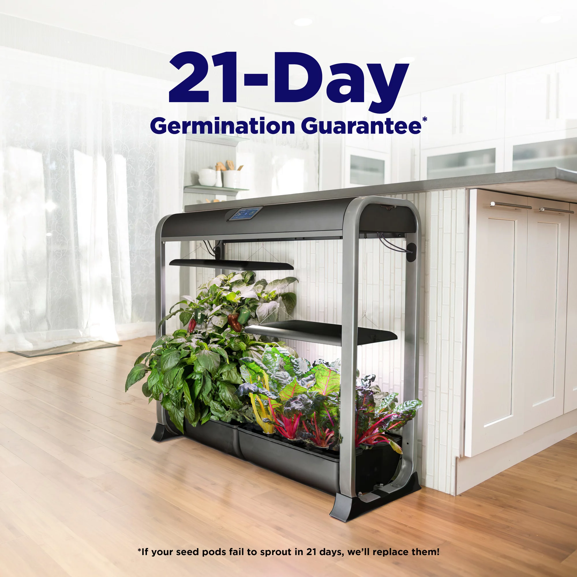 AeroGarden Farm 24Plus with Salad Bar Seed Pod Kit, Black - Curated Treasures Market