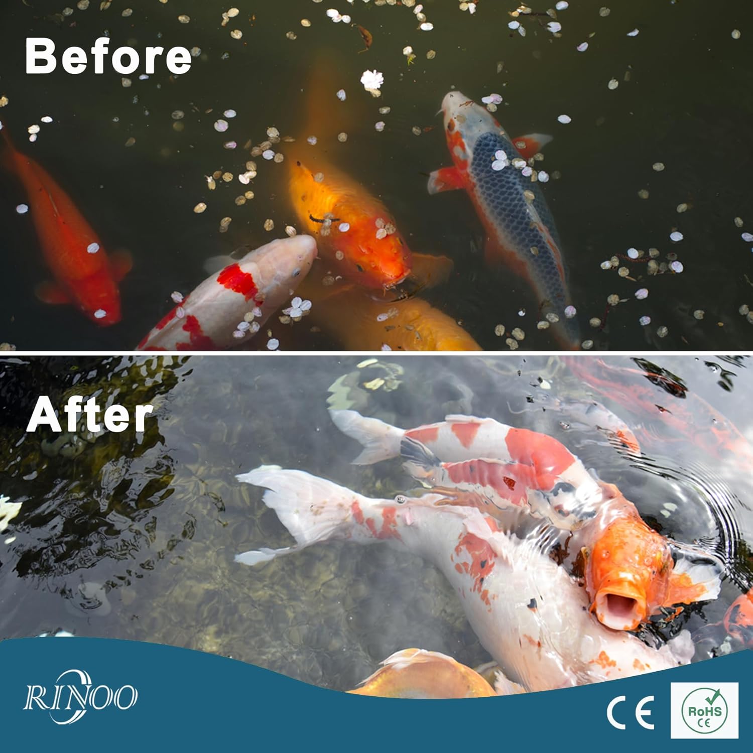 Ninjasieve RDF 4T10-1, Automatic Rotary Drum Filter for Koi Tilapia Pond, Fish Farm,Aquarium,Hydroponics, Aquaculture, Aquaponics, Smallest Koi Pond Filter