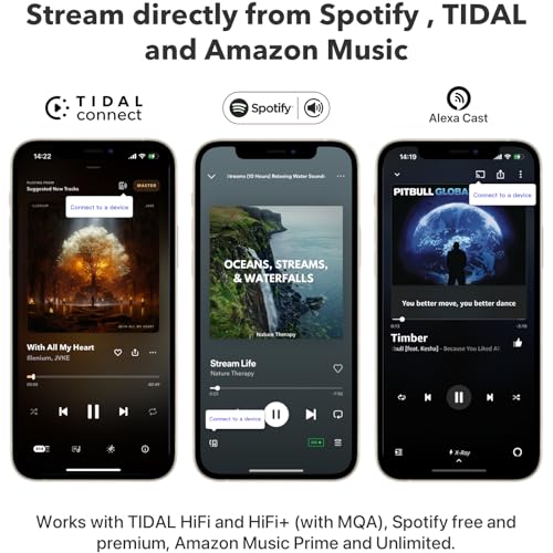 WiiM Pro AirPlay 2 Receiver, Google Cast Audio, WiFi Multiroom Streamer, Compatible with Alexa, Siri and Google Assistant, Stream Hi-Res Audio from Spotify, Amazon Music, Tidal and More