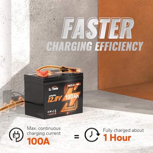 LiTime 12V 100Ah LiFePO4 Battery BCI Group 31 Lithium Battery Built-in 100A BMS, Up to 15000 Deep Cycles, Perfect for RV, Marine, Home Energy Storage