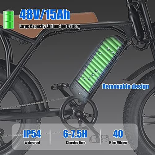 Electric Bike for Adults,20" Fat Tire 48V 15Ah Removable Battery Electric Bicycle 750W 30MPH Beach Snow Mountain Off Roading E Bike Moped for Adults, Range 30-50 Miles Shimano 7 Speed Dirt Bike
