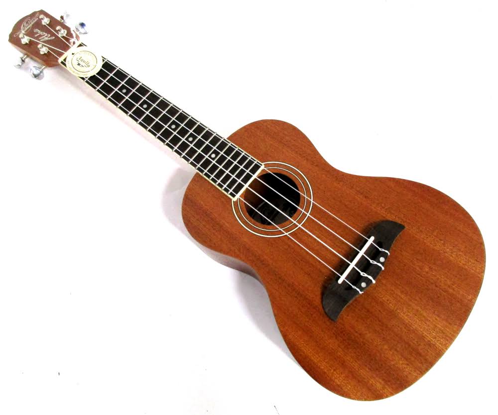 Oscar Schmidt OU2PAK Concert Ukulele Package